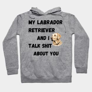 My Labrador Retriever and I Talk $hit Hoodie